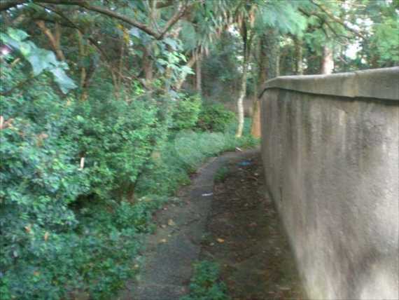 Venda Terreno São Paulo Cidade Jardim 1