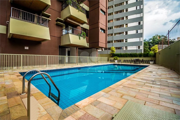 Aluguel Apartamento Campinas Cambuí 1