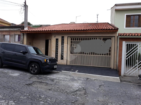Foto REO354249