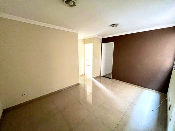 Aluguel Apartamento Campinas Vila Industrial 1