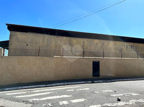 Foto REO371265