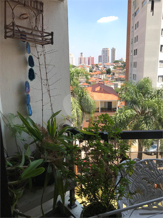 Venda Apartamento São Paulo Parque Mandaqui 1