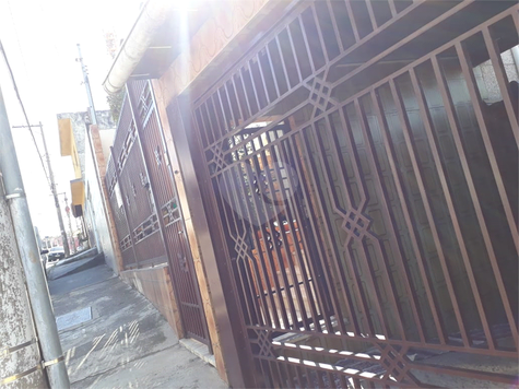 Foto REO397670