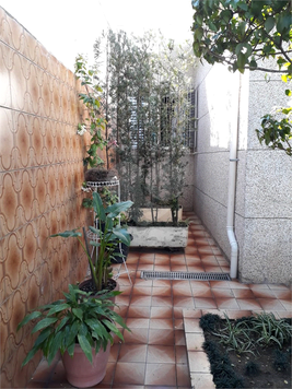 Foto REO397670