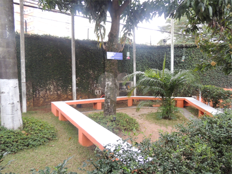 Foto REO399066