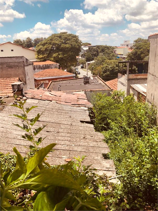 Venda Terreno São Paulo Vila Roque 1