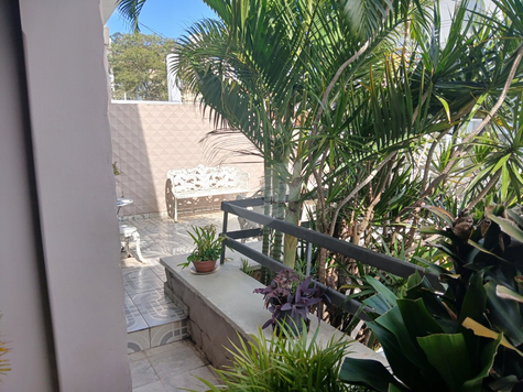 Foto REO463317