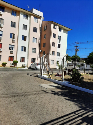 Venda Apartamento Canoas Igara 1