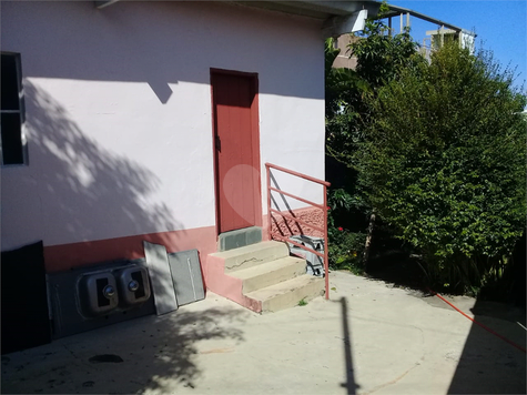 Foto REO486729