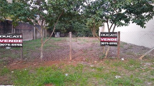 Foto REO496653