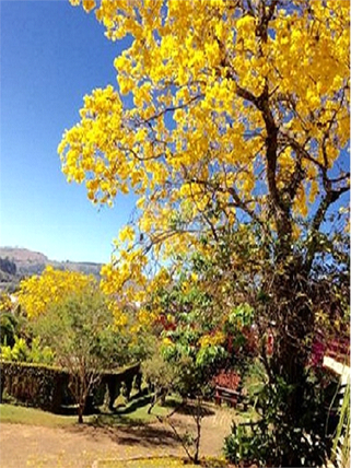 Venda Chácara Piracaia Centro 1