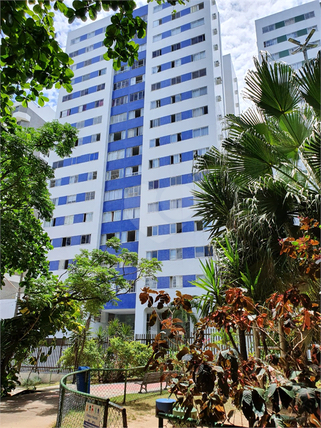 Venda Apartamento Salvador Pituba 1