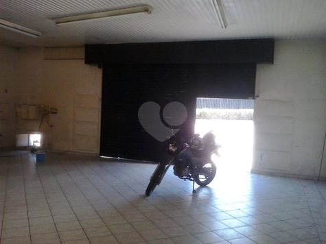 Foto REO548129