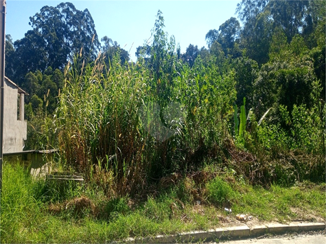 Venda Terreno Mairiporã Barreiro 1