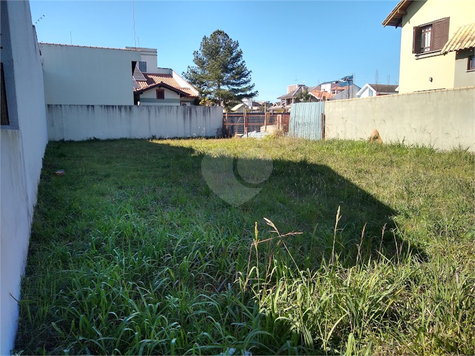 Foto REO594133