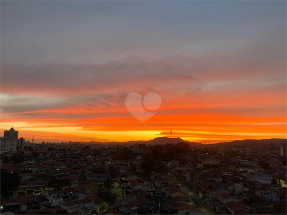 Venda Apartamento São Paulo Vila Amélia 1