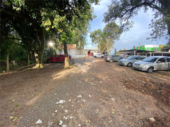 Venda Terreno Gravataí Passo Das Pedras 1