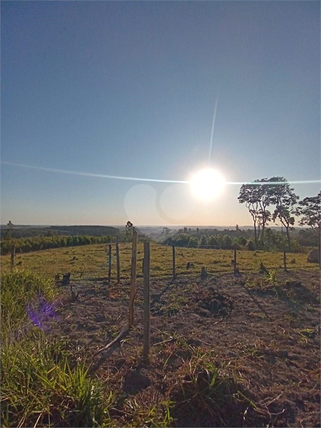 Venda Sítio Pilar Do Sul Campo Grande 1