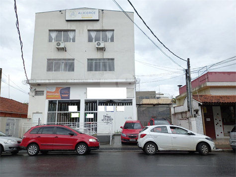 Foto REO622640