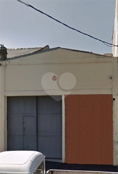 Foto REO622694