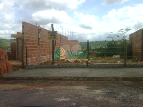 Foto REO625750