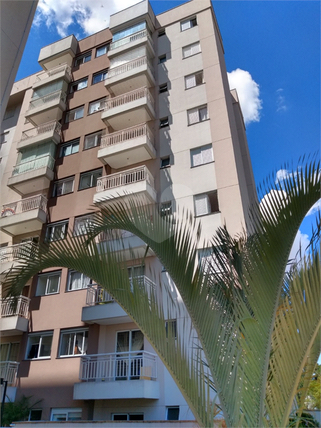 Venda Apartamento São Paulo Vila Amália (zona Norte) 1