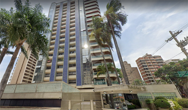 Aluguel Apartamento Campinas Cambuí 1