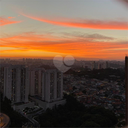 Venda Apartamento São Paulo Vila Suzana 1