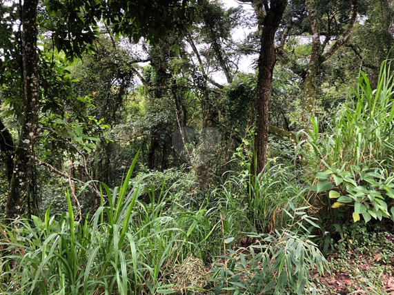 Venda Terreno Mairiporã Barreiro 1