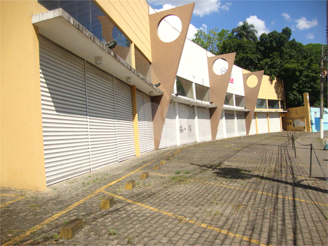 Foto REO643745