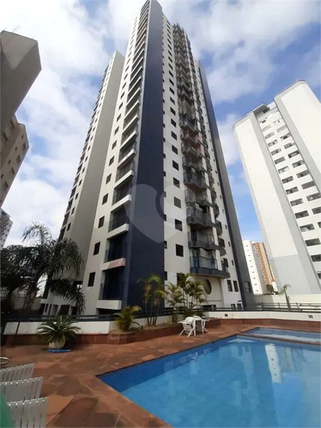 Aluguel Apartamento São Paulo Tucuruvi 1