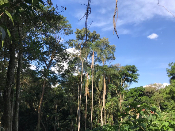 Venda Terreno Mairiporã Roseira 1