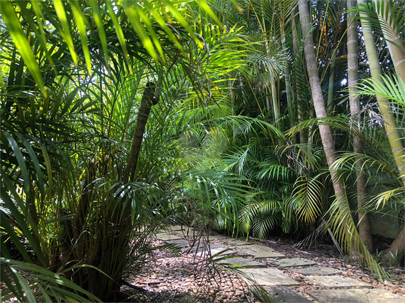 Venda Casa Cotia Vila Santo Antônio 1