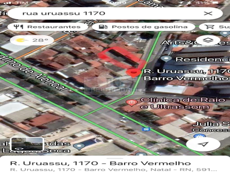 Foto REO659178