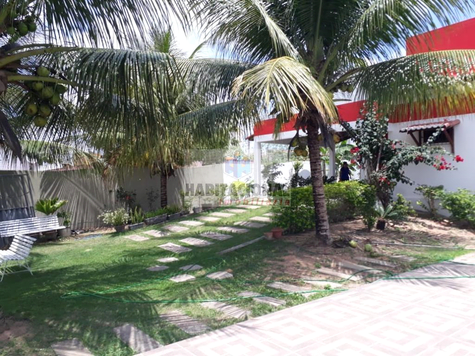 Foto REO659476
