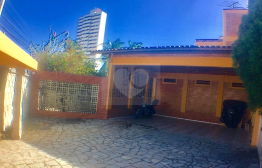 Foto REO659560