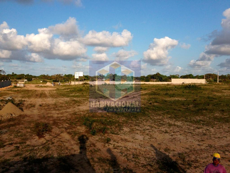 Foto REO660173