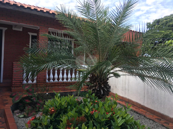 Foto REO680245