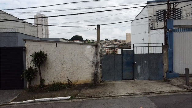 Venda Terreno São Paulo Vila Bertioga 1