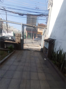Foto REO686086
