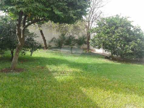RUA CORONEL JOVINIANO BRANDÃO,383