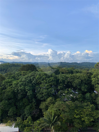 Venda Apartamento São Paulo Vila Nova Cachoeirinha 1