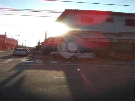 Foto REO703538