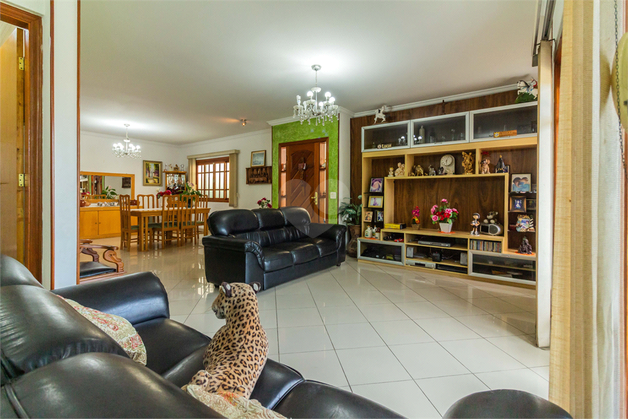 Foto REO706476