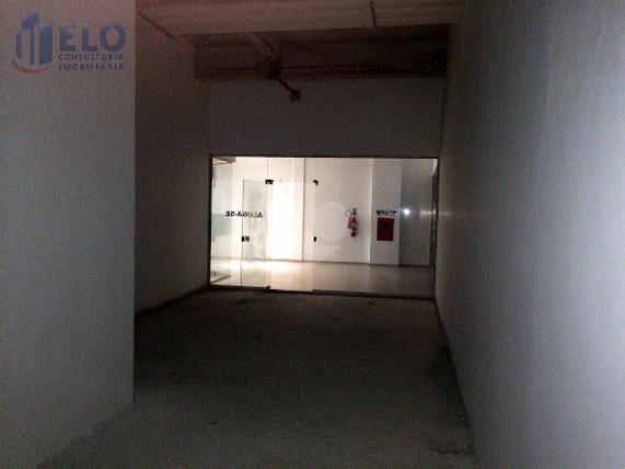 Palladium (ED.)