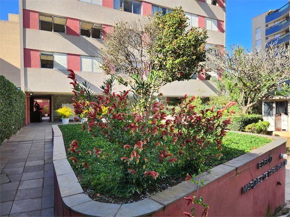 Venda Apartamento São Paulo Pinheiros 1