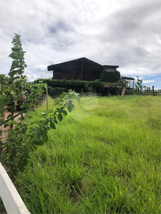 Venda Chácara Monte Alegre Centro 1