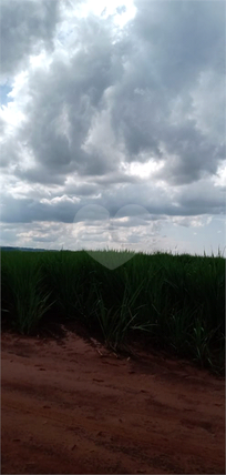 Venda Fazenda Ribeirão Preto Área Rural De Ribeirão Preto 1