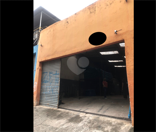 Foto REO761096