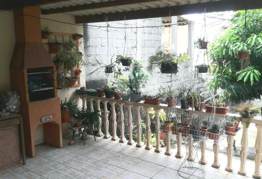 Foto REO765919